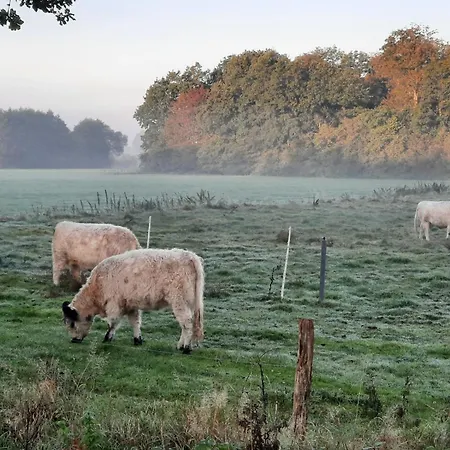 Holiday home 18 Premium Pod 